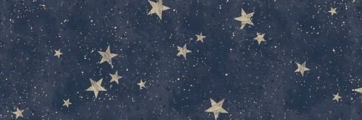 x - baldrouin banner