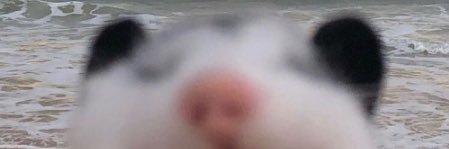 Fleur banner