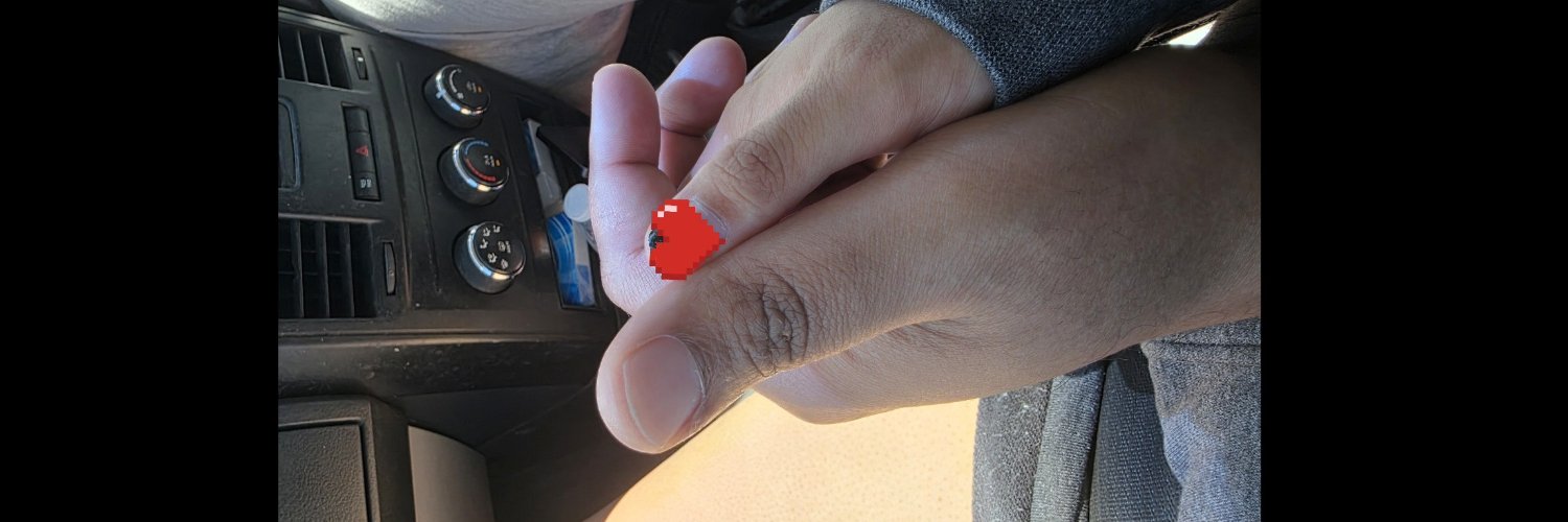 SpicyyDumpling's profile banner image