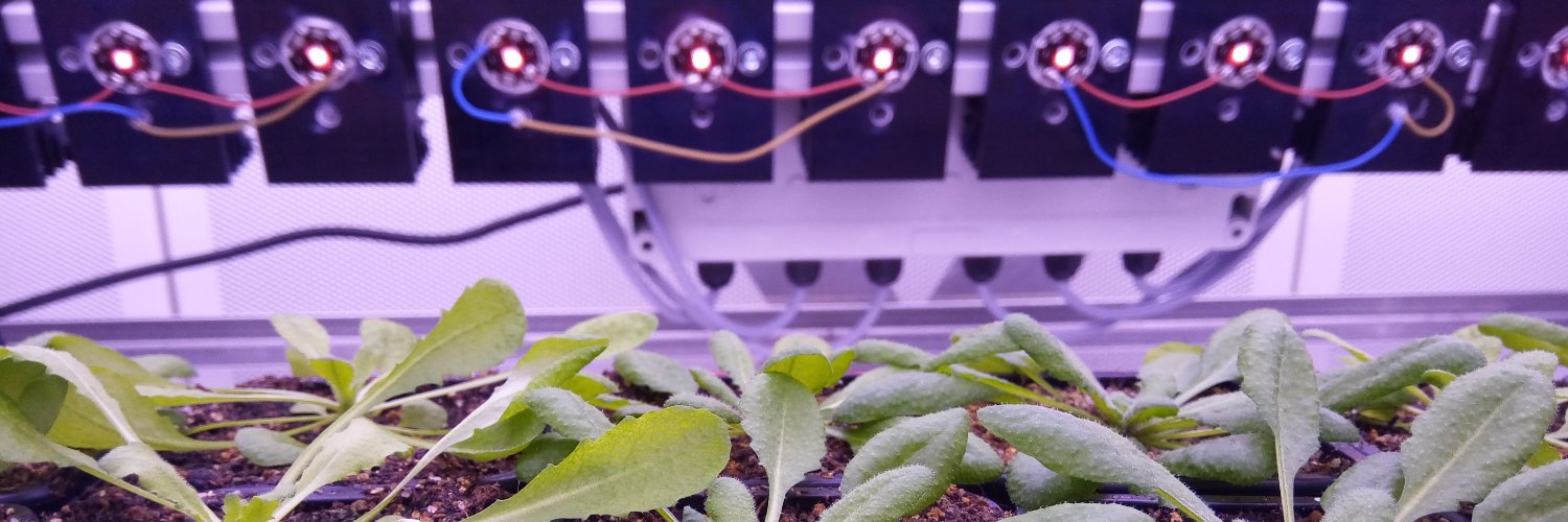 Frau Dr. Guada Fernandez Milmanda 🇦🇷⭐️⭐️⭐️🇦🇷 banner