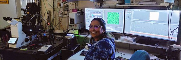 sravmukherjee Profile Banner