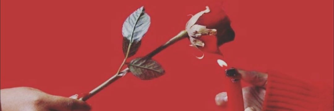 Albaaa 🖤 banner