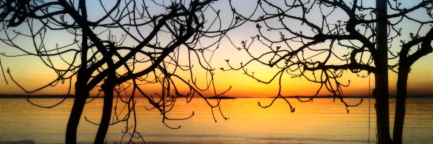 aze_avc10's profile banner image