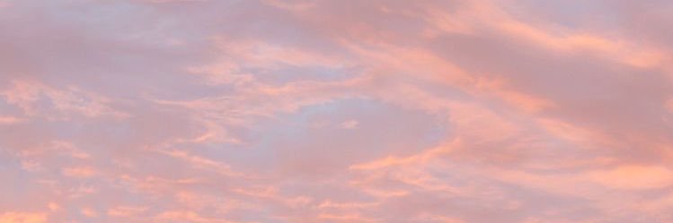 carolinendoen's profile banner image