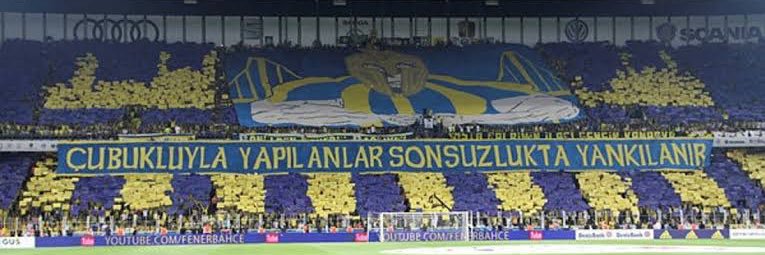 spideronuray banner