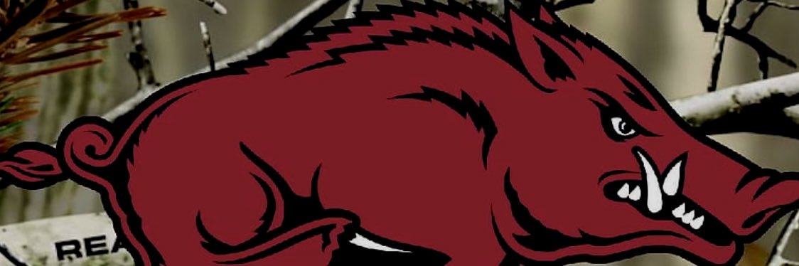 WooDamnPigg's profile banner image