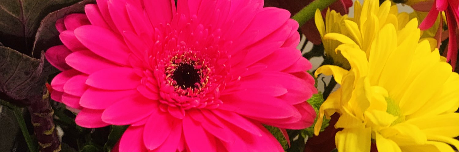DiCoombs's profile banner image