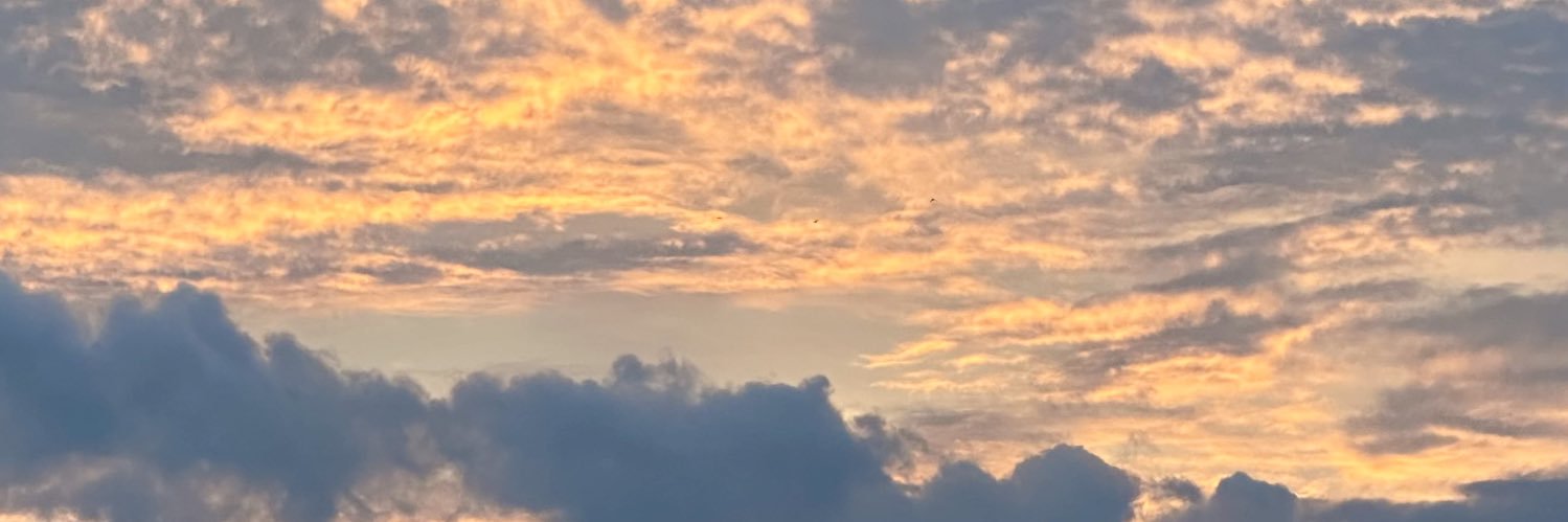 LittleYUJAEBoy's profile banner image