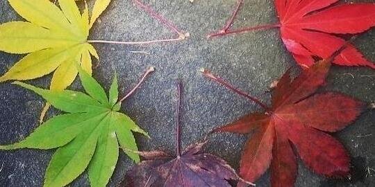 arjinikasit's profile banner image