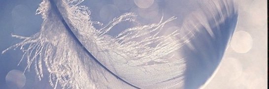 Rachael Louise banner