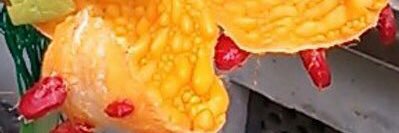m1ya2_'s profile banner image