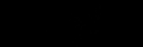 RaQ_WitTheWok Profile Banner