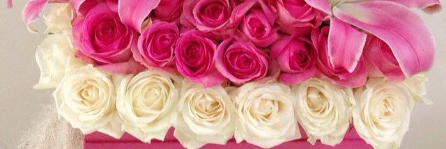winda_winduck's profile banner image
