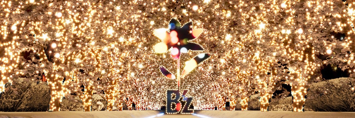 snow(旧ひなた)🏡👩‍🦼 banner