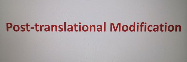 yu_yonghao Profile Banner