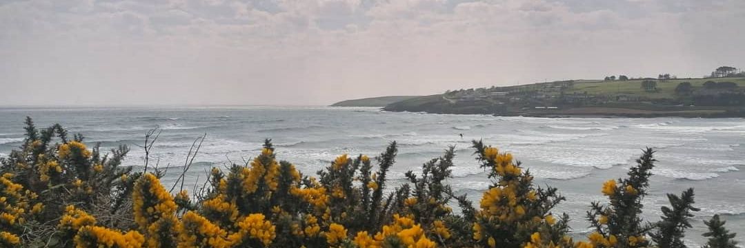 Antóin Ó Trinlúin banner