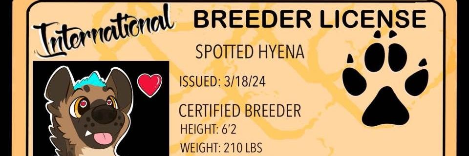Beans the Breeder(Dms open) banner