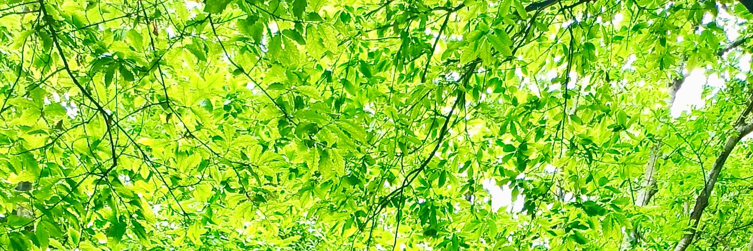 ArianNazari73's profile banner image