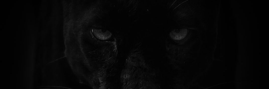 aaadi_j's profile banner image