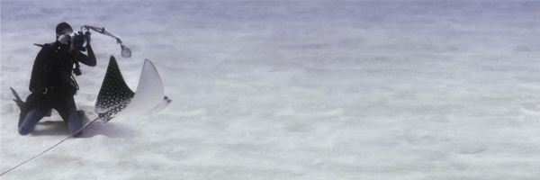 joha's profile banner image