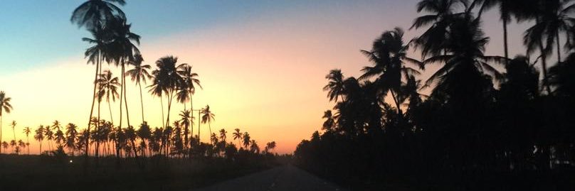 Maria Gabriela Nieves ✨ banner