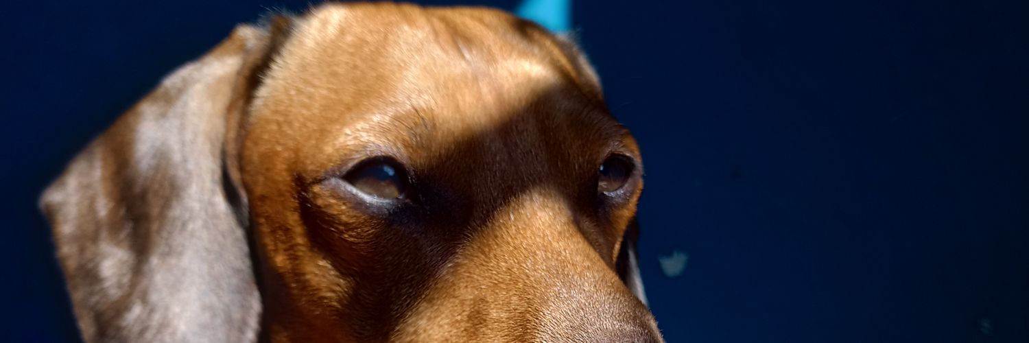 aabiveras's profile banner image