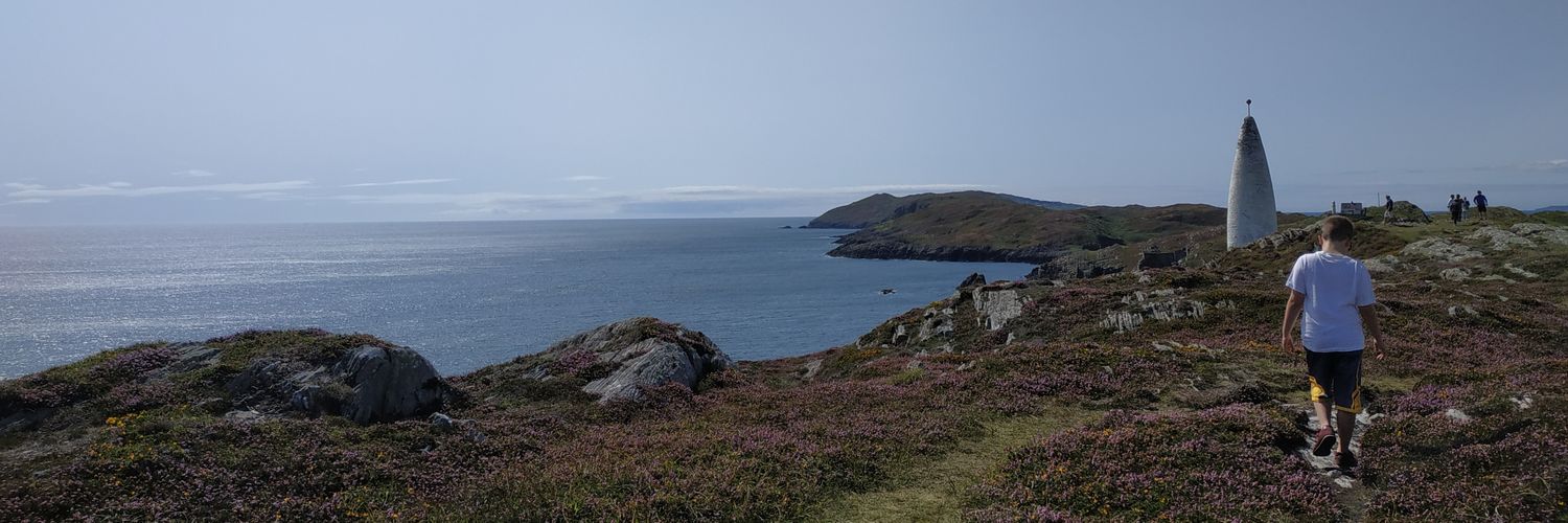 Sponge Bob Test Pants banner