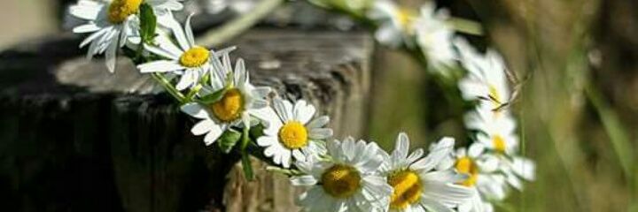 EmMoraa's profile banner image