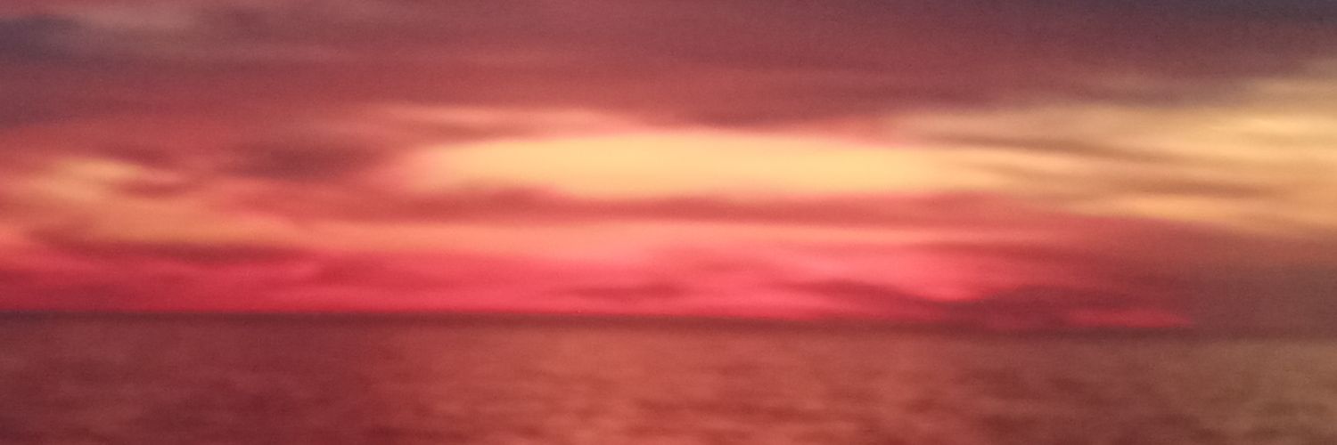 Claudio Cocchi banner