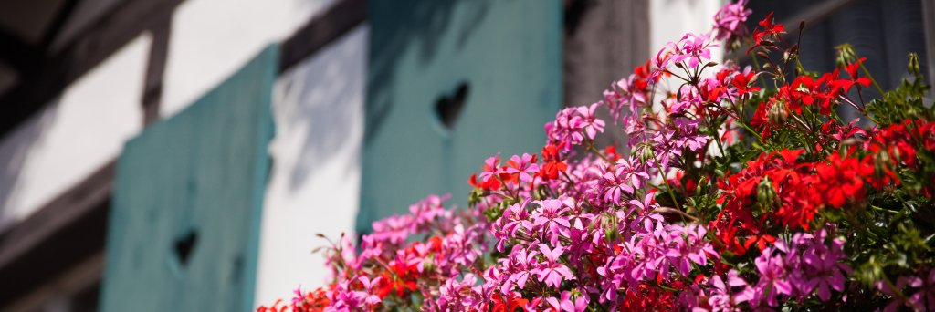 Sasbachwalden's profile banner image