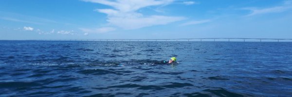 belangill Profile Banner