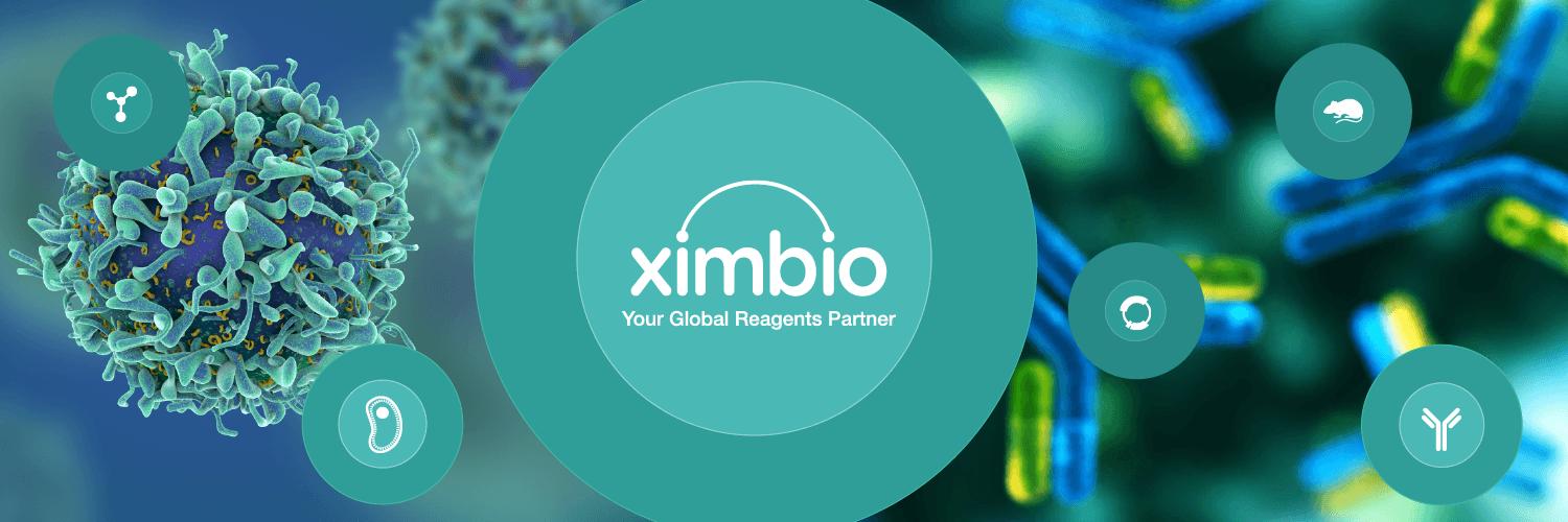 Ximbio's profile banner image