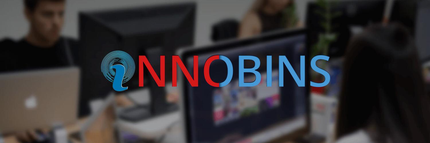 Innobins Decision Science Pvt Ltd banner