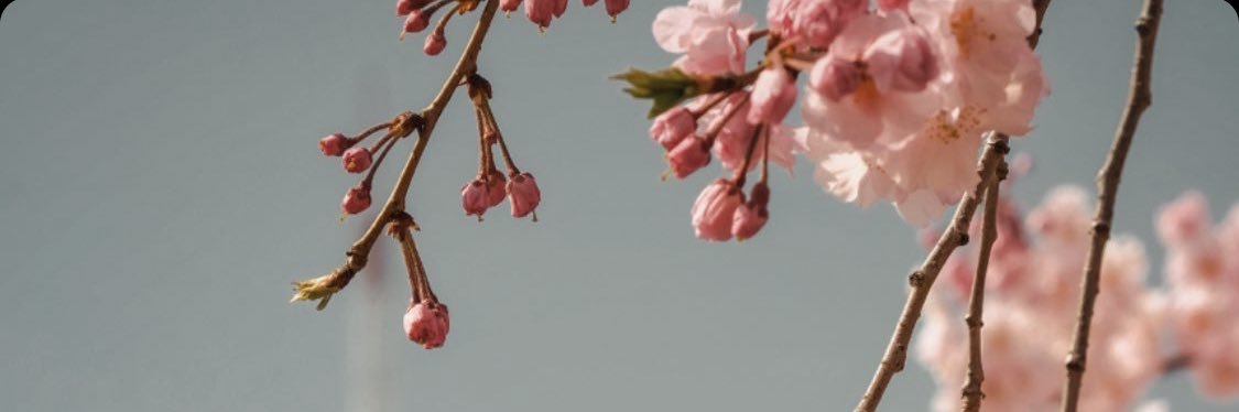 senyorchoco's profile banner image