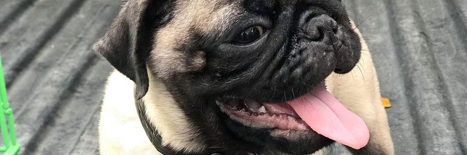 JANNIAH14's profile banner image