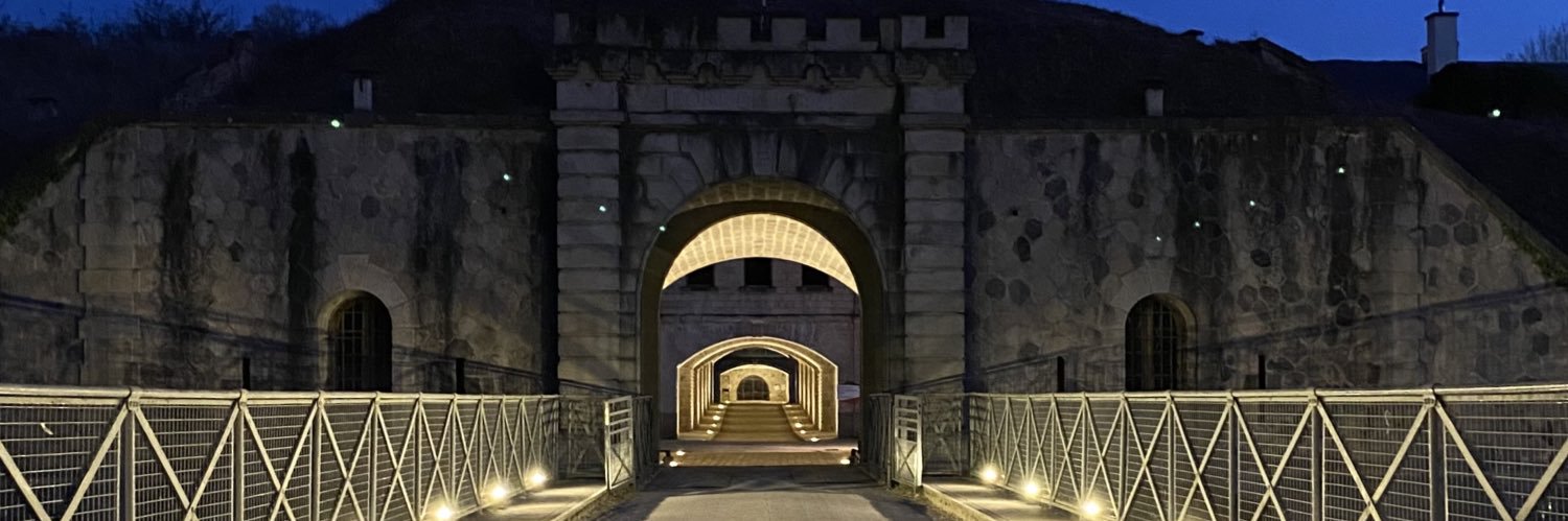 Fort de Feyzin banner