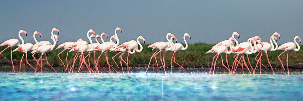 prashantmanvar's profile banner image
