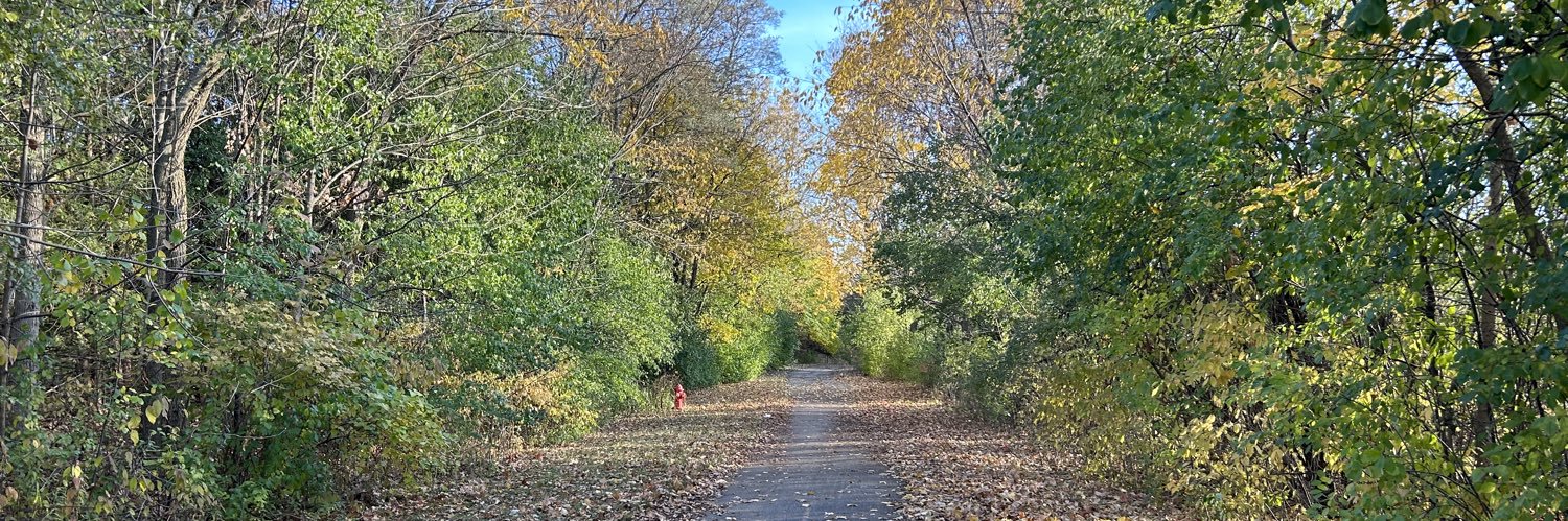 Jessica Herrmann banner