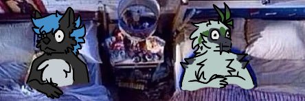 ⋈ Skoosk ⋈ banner