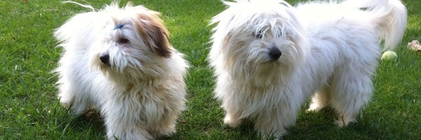 FernandoFGR1 Profile Banner