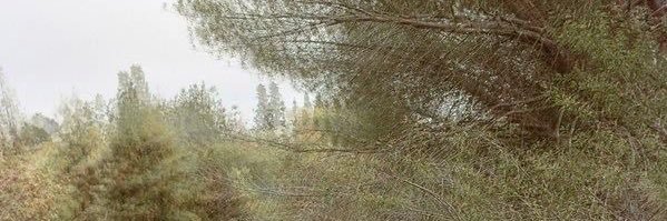 c_jack_neil's profile banner image