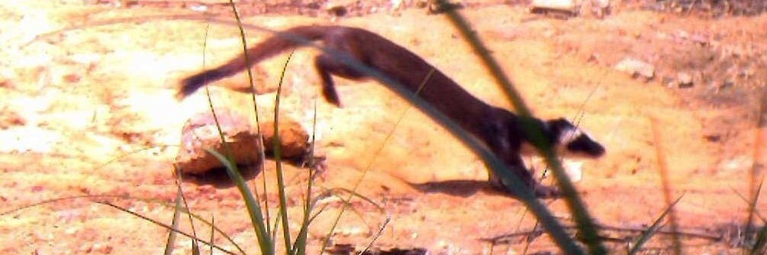 drterdal 🇺🇦 banner