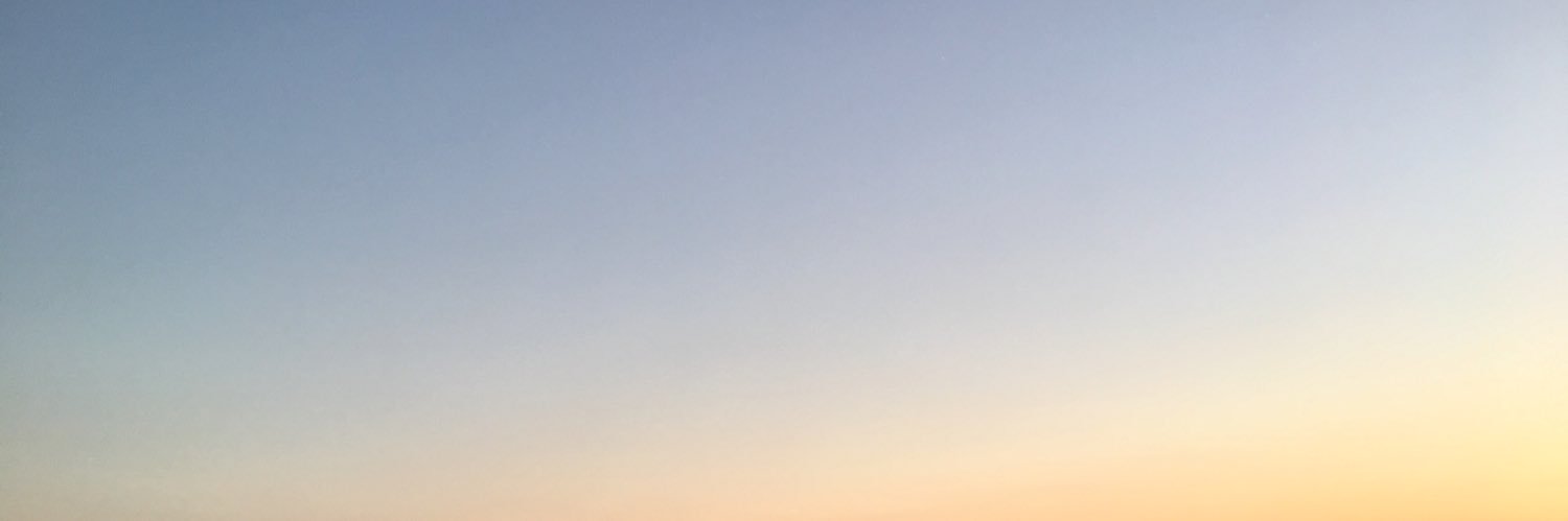 sarahpiil's profile banner image