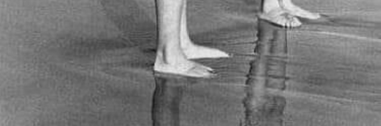 Ian banner