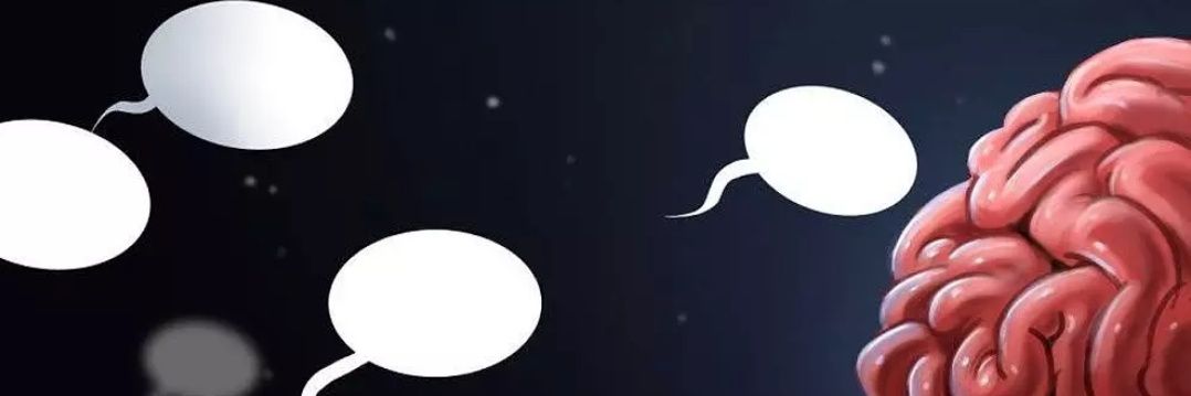 celkokke's profile banner image