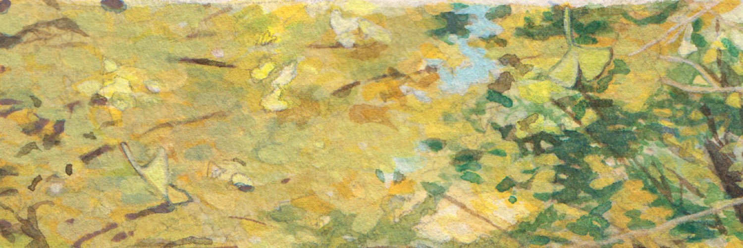 d0t0b's profile banner image