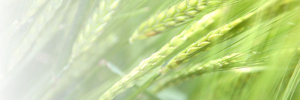 H2020DEMETER Profile Banner