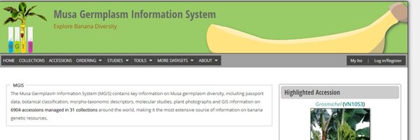 RuasMax Profile Banner