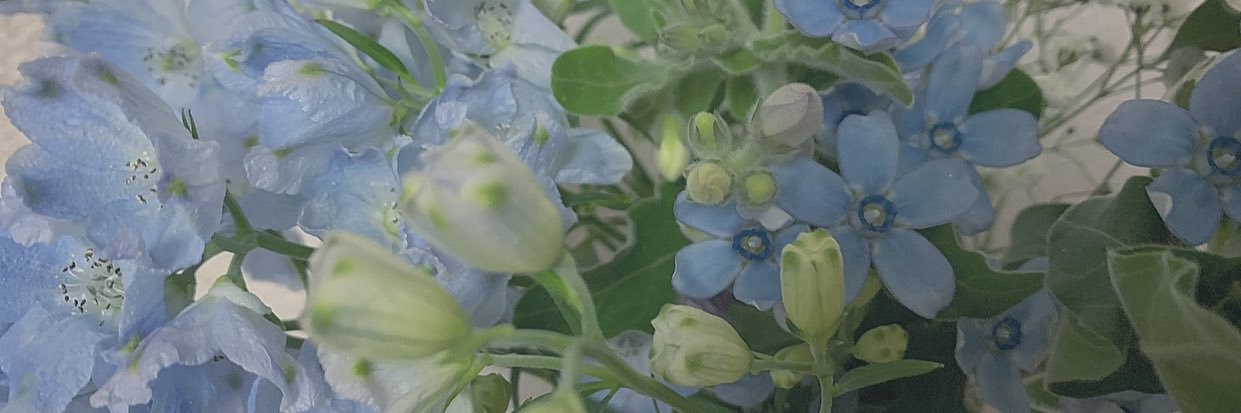 pon_020's profile banner image