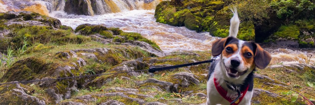 EmJCoWa's profile banner image